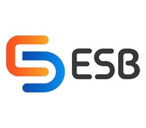 ESB logo bms